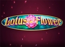 Lotus Flower